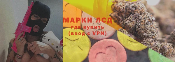 дживик Новозыбков