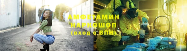 гашик Нея