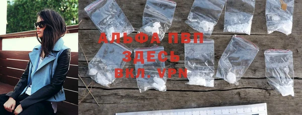прущие грибы Новодвинск