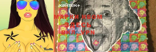 гашик Нея