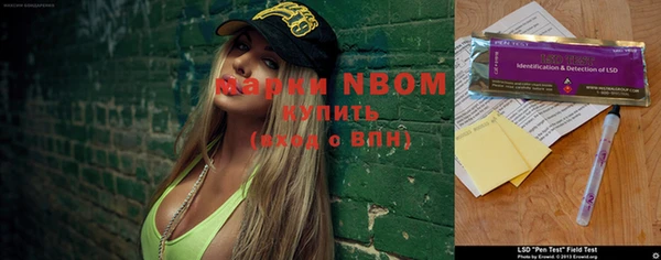 гашик Нея