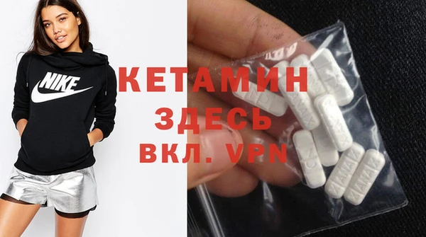прущие грибы Новодвинск