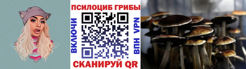 закладки  Кодинск  Галлюциногенные грибы MAGIC MUSHROOMS 
